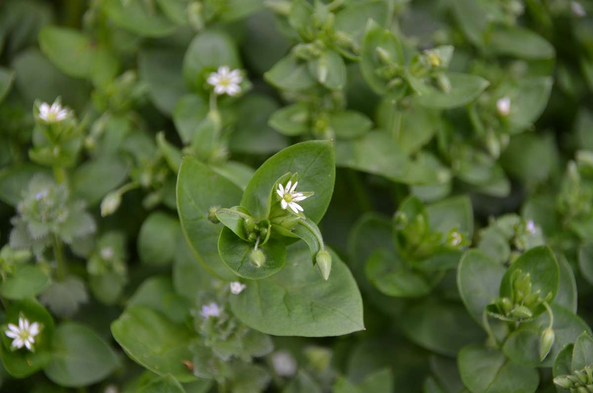 2014-03-31 15-55-10.JPG